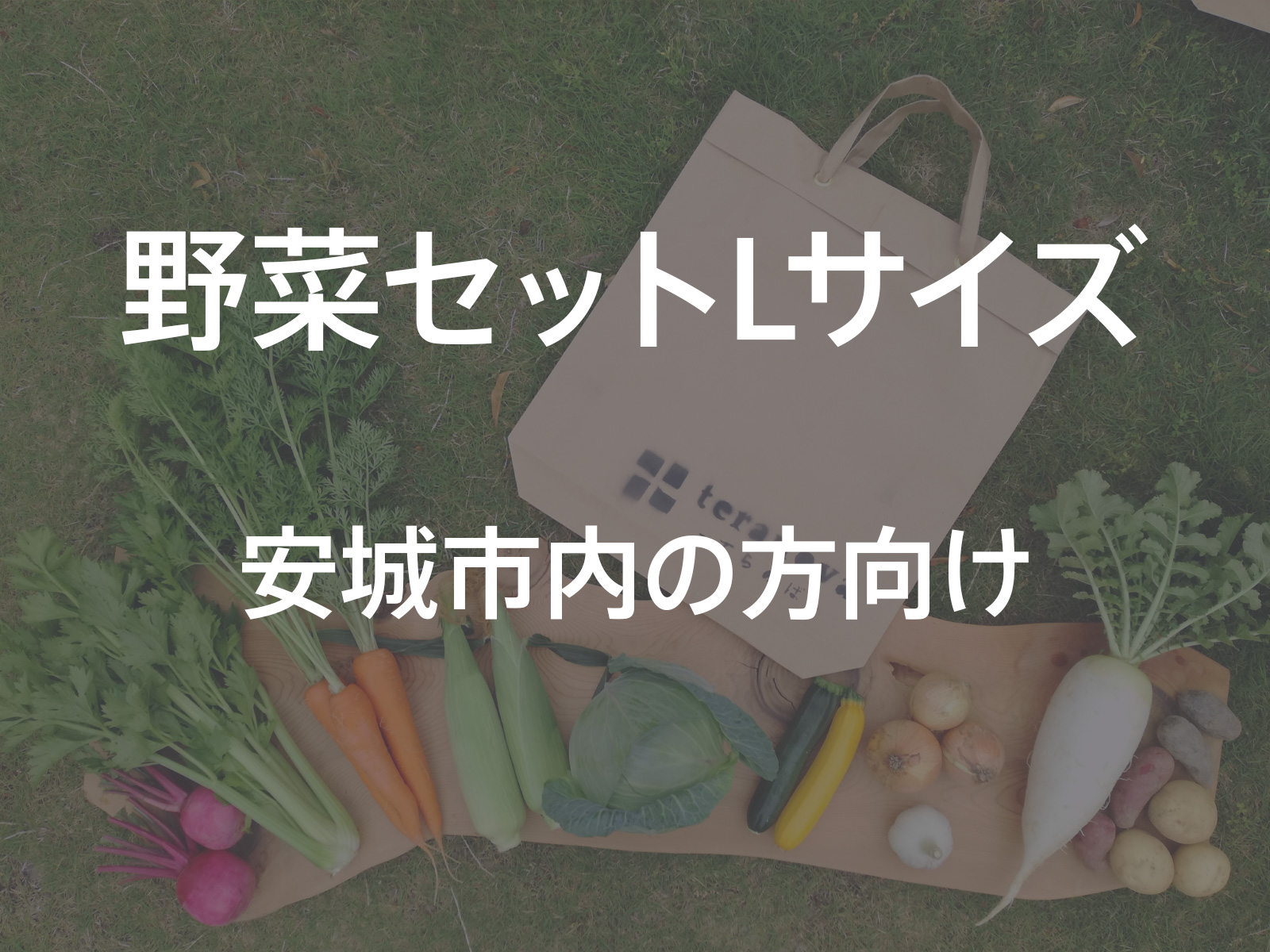 teranova -てらのば-