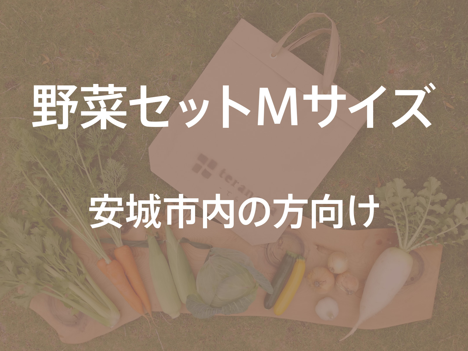 teranova -てらのば-
